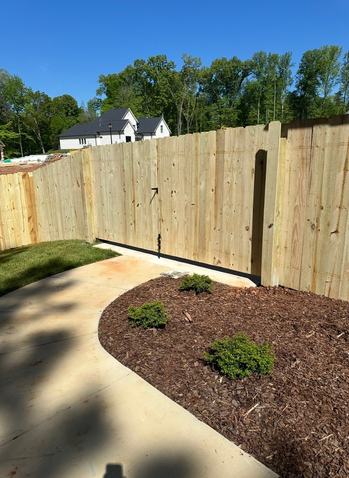 Pine privacy fence with gate